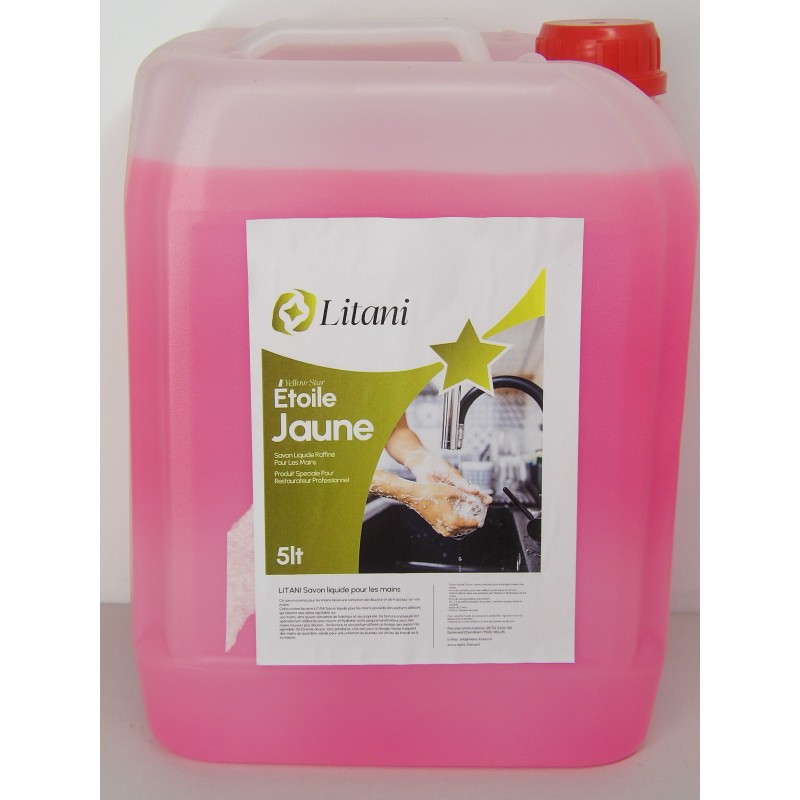 SAVON LIQUIDE POUR LES MAINS 5 LT