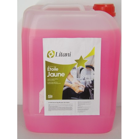 SAVON LIQUIDE POUR LES MAINS 5 LT